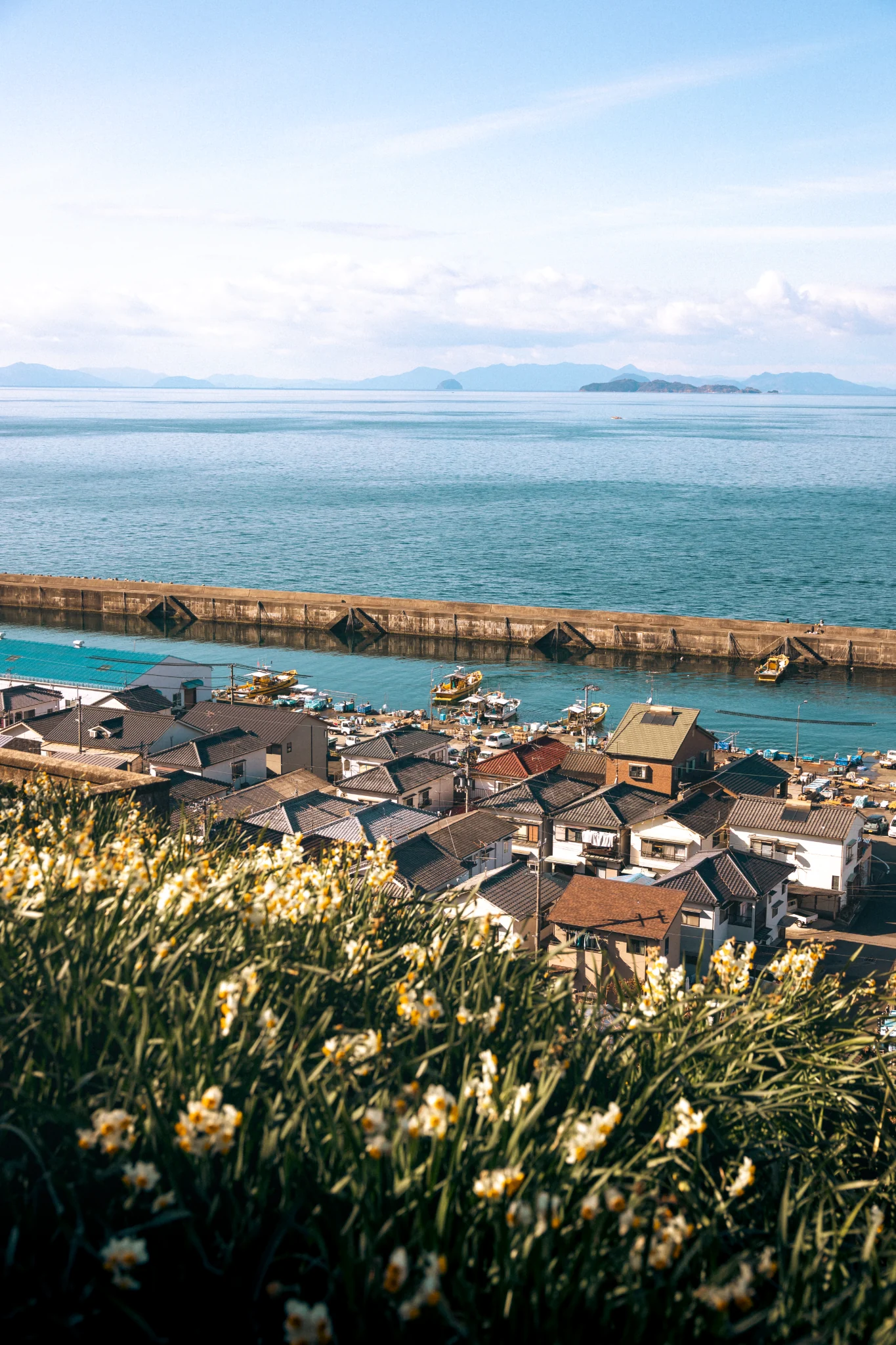 Coastal View