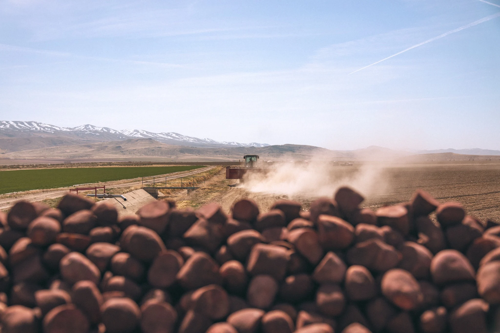 Field Harvest
