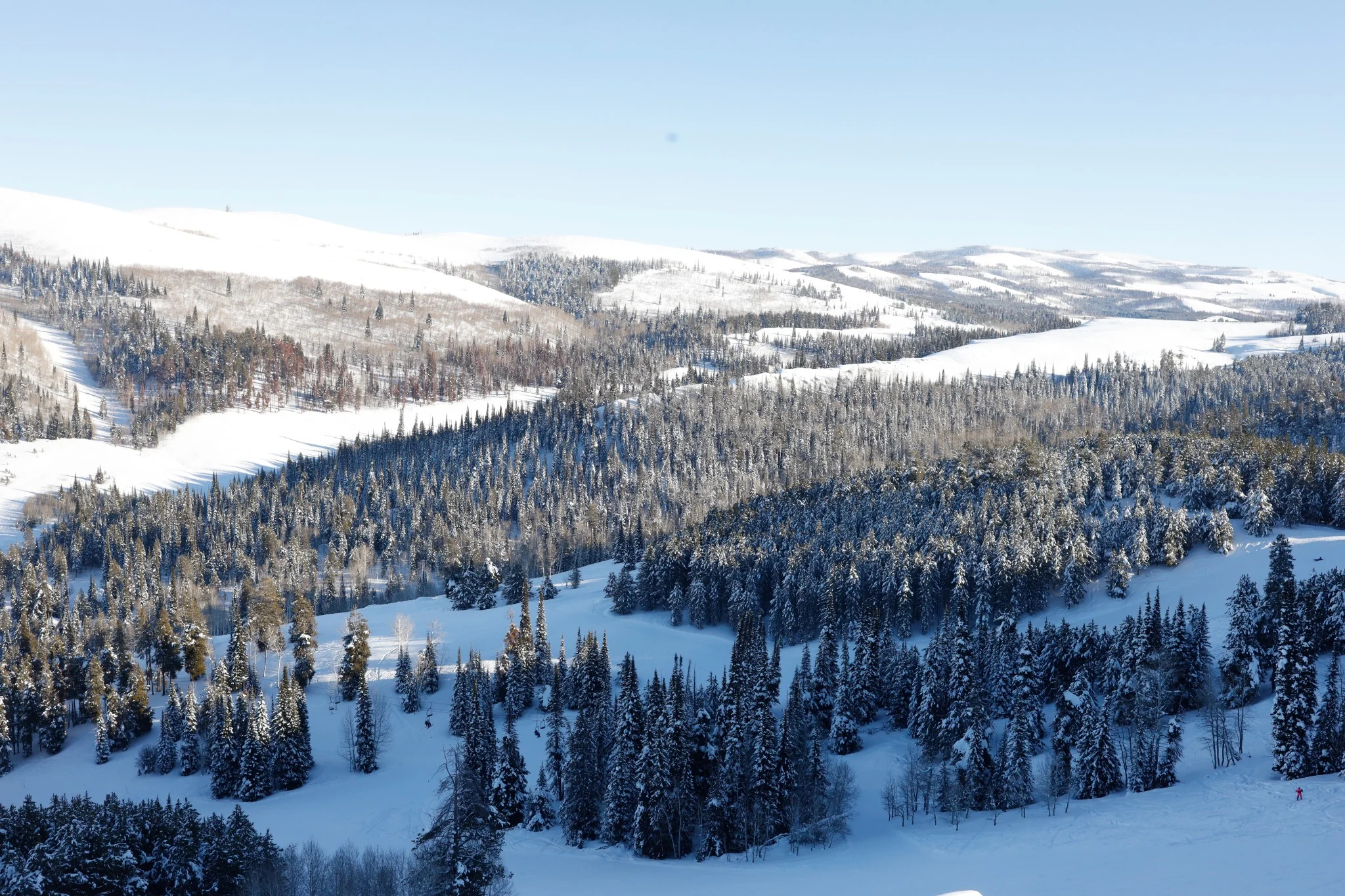 Winter Terrain